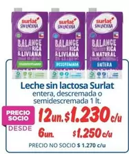 Surlat - Leche Sin Lactosa