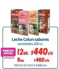 Colun - Leche Sabores