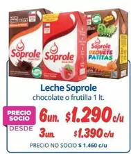 Soprole - Leche