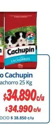 Cachupin - Cachopin