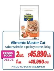 Cat - Alimento