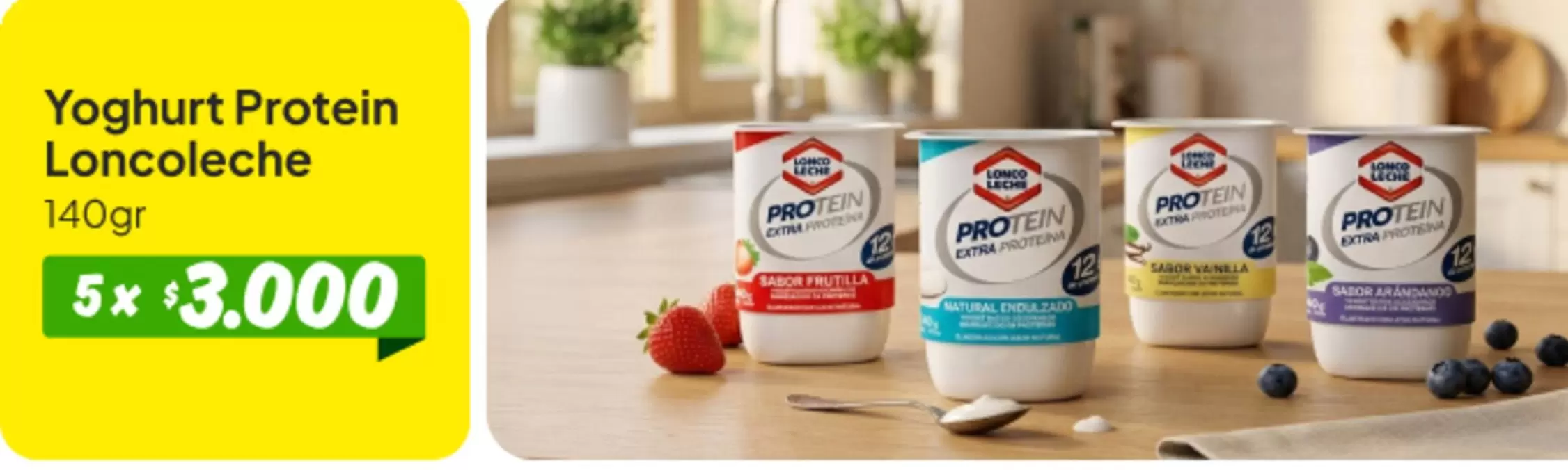 Lonco Leche - Yoghurt Protein