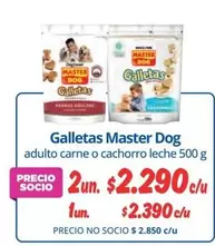 Master Dog - Galletas