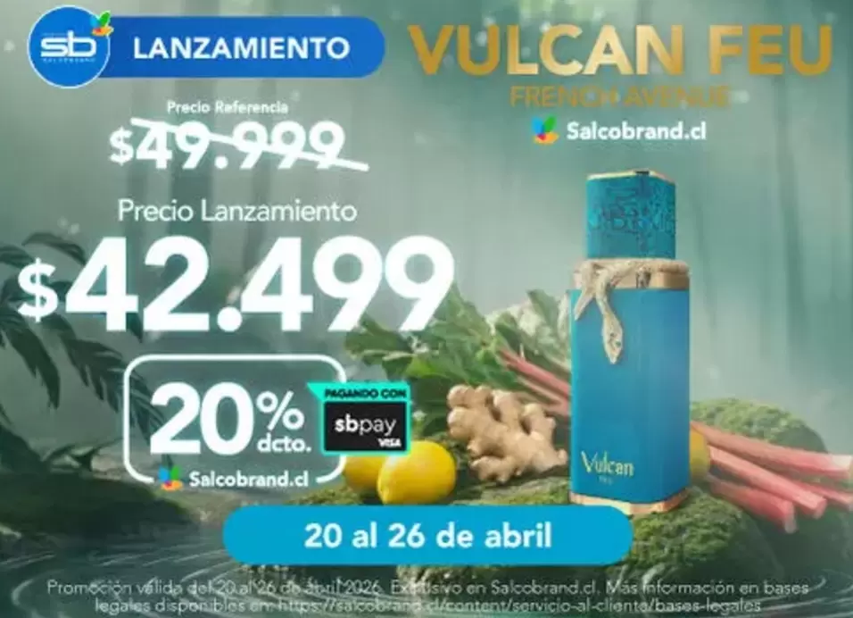 Lanzamiento Salcobrand.cl