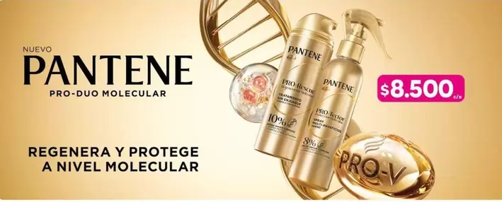 Pantene - Regener Y Protege A Nivel Molecular