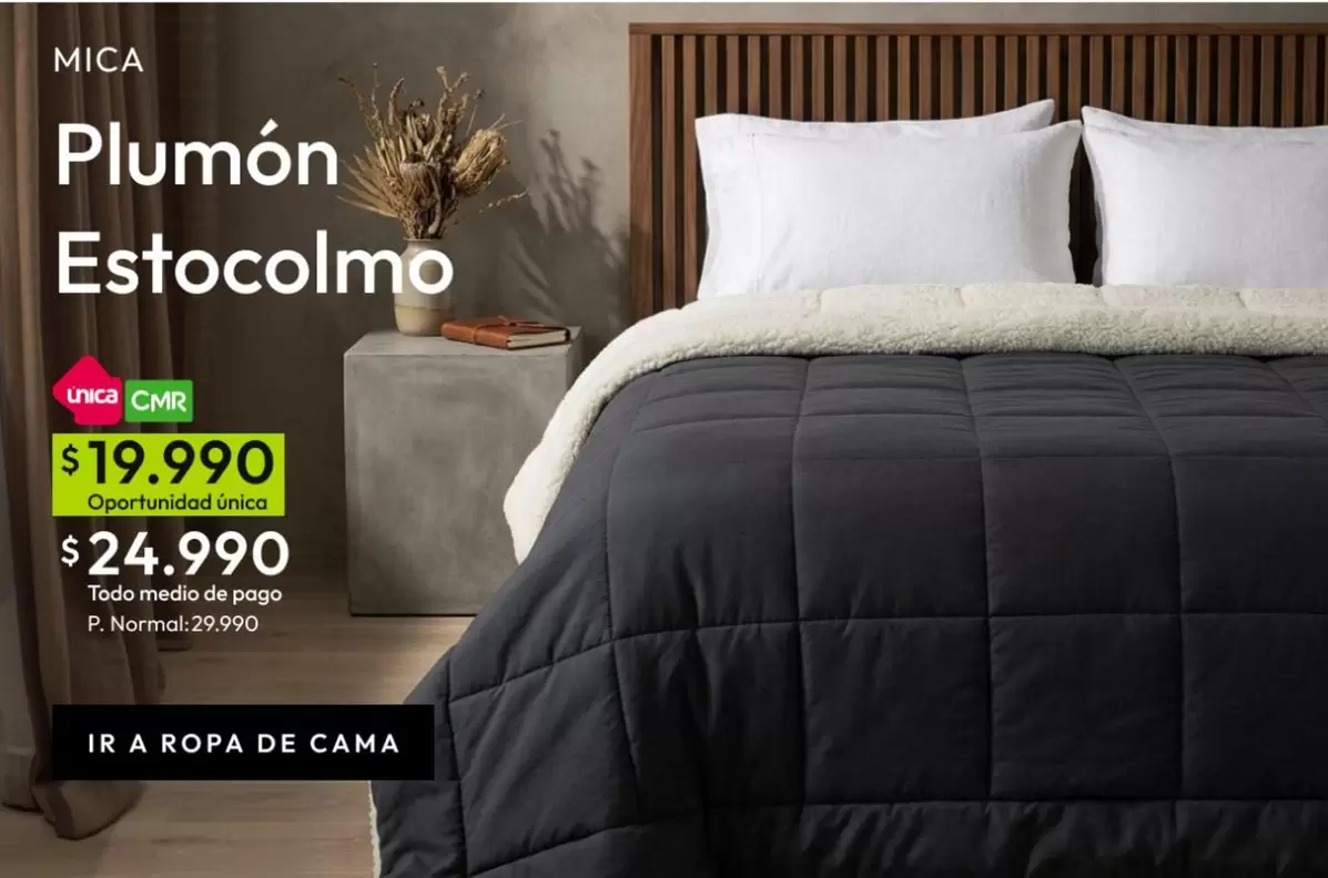 Plumón