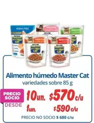 Master Cat - Alimento Húmedo