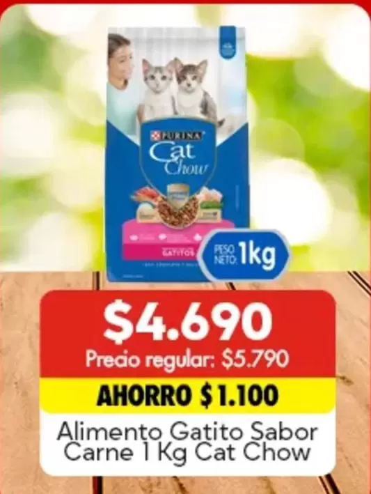 Purina - Alimento Gatito Sabor Carne