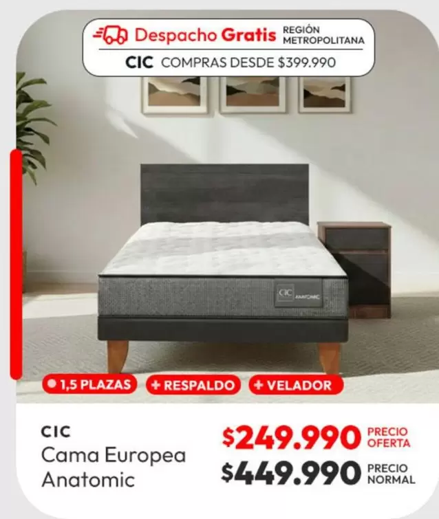 Cic - CIC CAMAF ANATOMIC