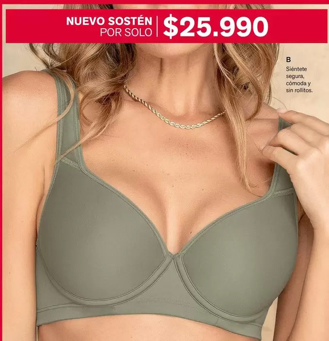 Sistente Seguratio