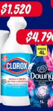 Clorox - Downy