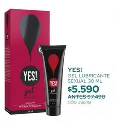 Yes - Gel Lubricante