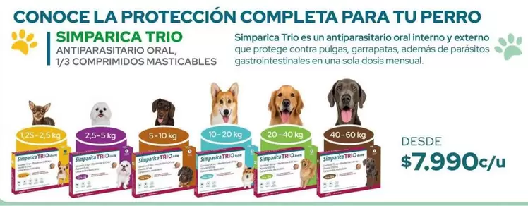 Trio - Conoce La Protección Completa Para Tu Perro