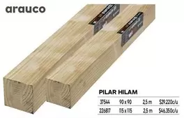 Arauco - Pilar Hilam