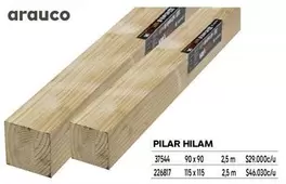 Arauco - Pilar Hilam