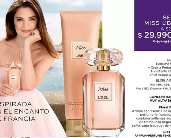 Encanto - Concentrato Muy Alta