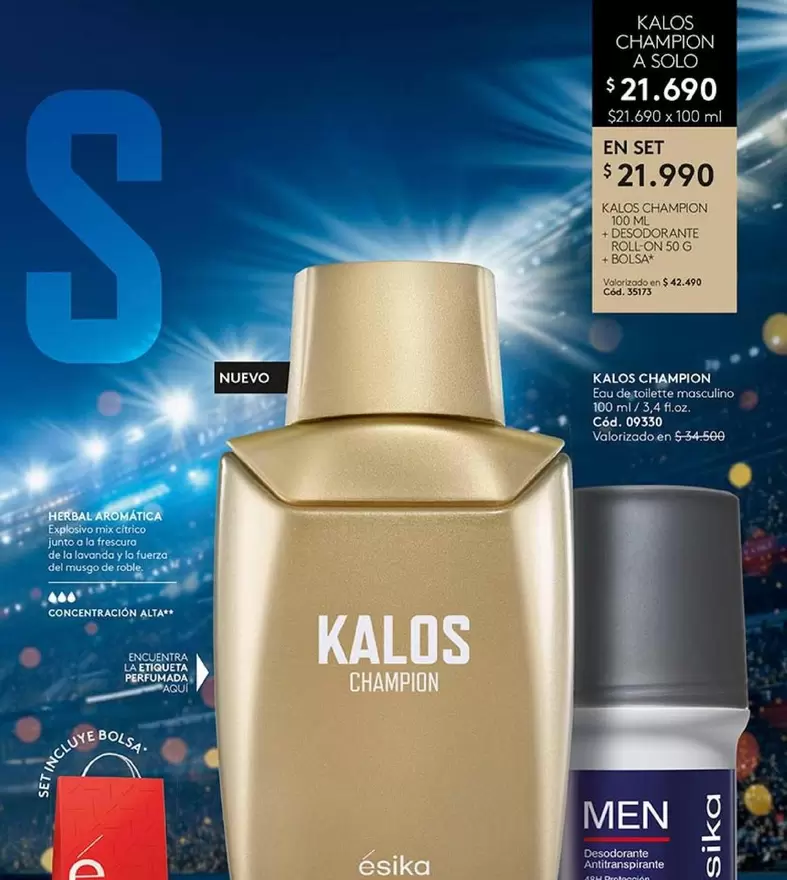 Kalos - Champinon Adulte