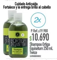 Shampoo Ortiga Equisetum