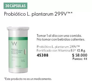 Probiótico L. Plantarum 299v