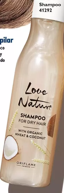 Shampoo For Dry Hair