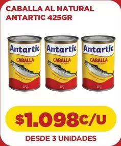 Antartic - Caballa Al Natural