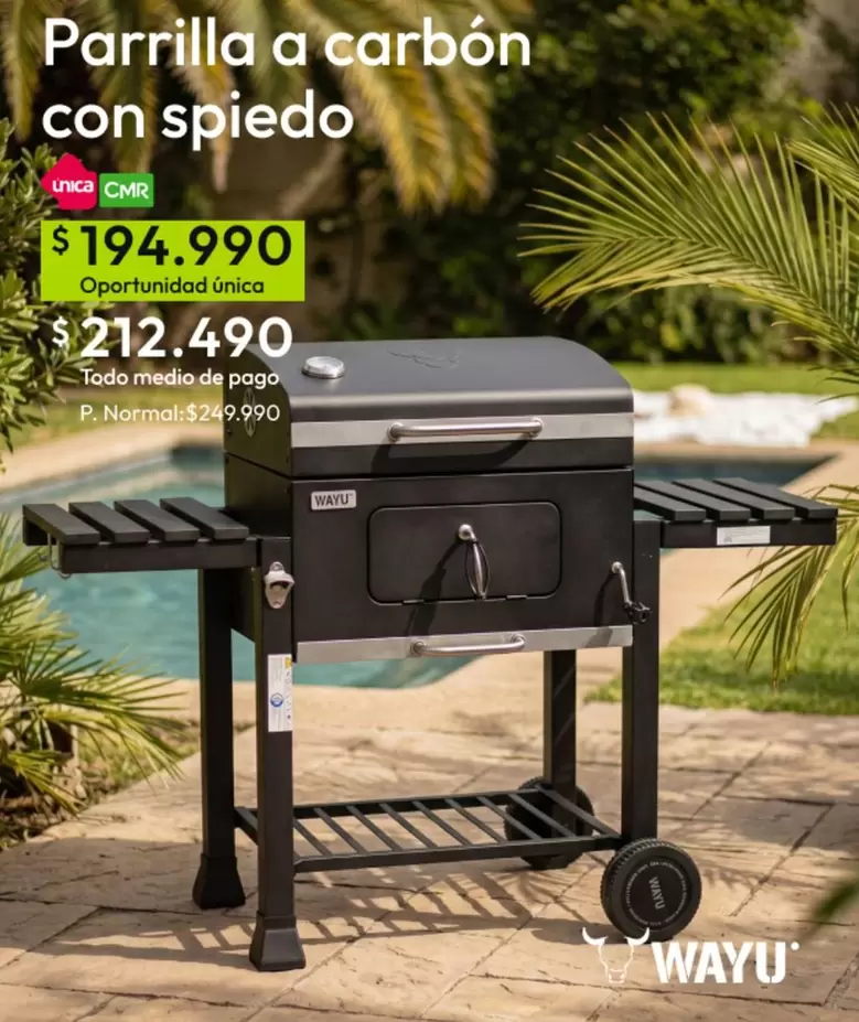 Parrilla A Carbon Con Spiedo