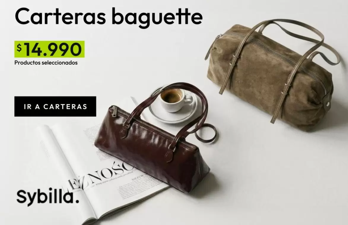 Carteras Baguette
