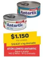 Antartic - Atun Lomito