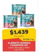 Champion Cat - Alimento Humedo