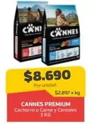 Cannes -  Premium