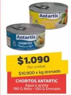 Antartic - Choritos