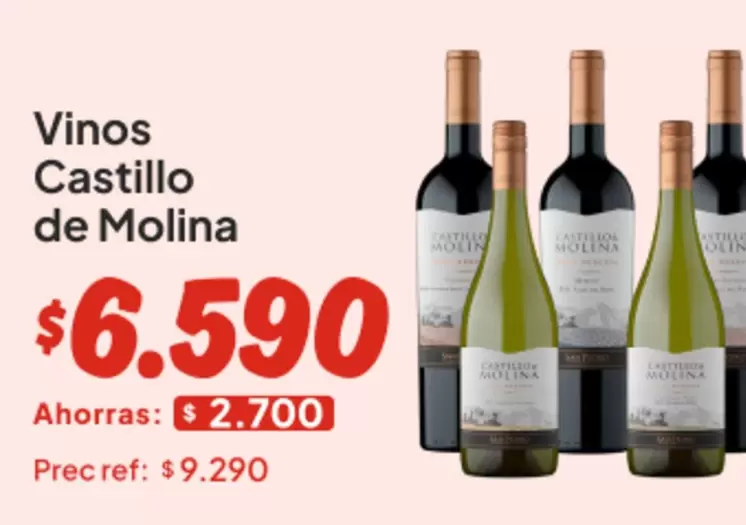 Castillo de Molina - Vinos
