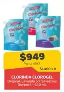 Clorinda - Clorogel