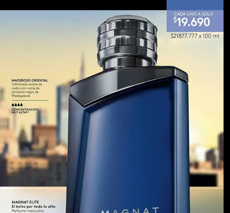 Magnat - Elite