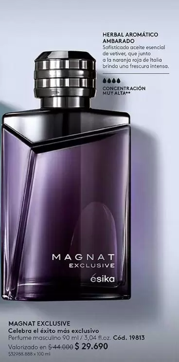 Magnat - Exclusive