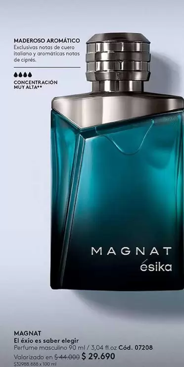 Magnat - El Cajones Sabas Eléctrica