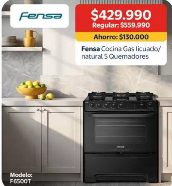 Fensa -  Cocina Gas Licuado