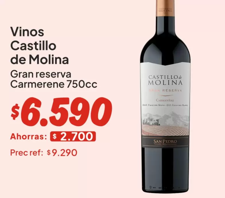 Castillo de Molina - Vinos