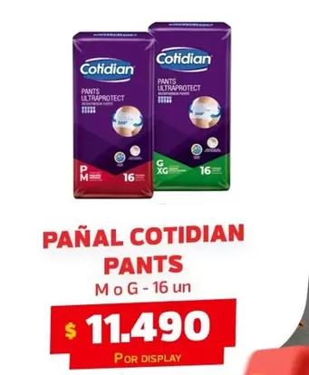 Cotidian - Panal  Pants
