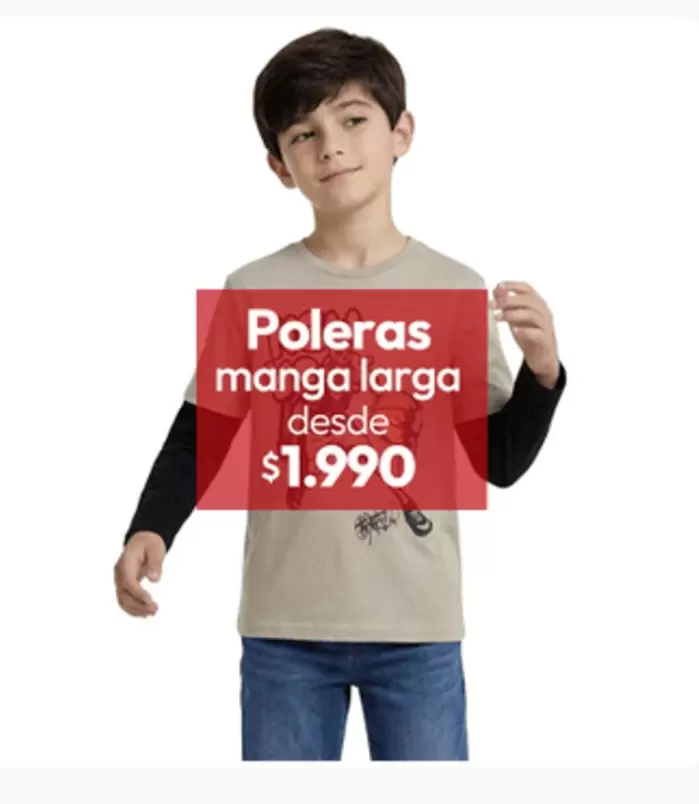 Poleras Manga Larga