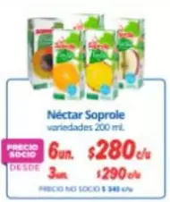 Soprole - Nectar