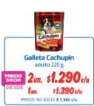 Cachupin - Galleta