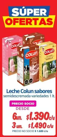 Colun - Leche Sabores