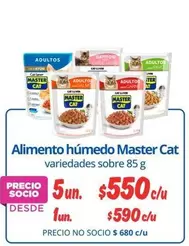 Cat - Alimento Húmedo Master