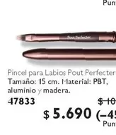 Pincel Para Labios Pout Perfecter Tamano