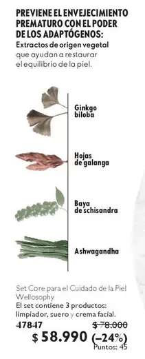 Previente Rellenyejecimiento Prematuro Con El Poder De Los AopTMógeno