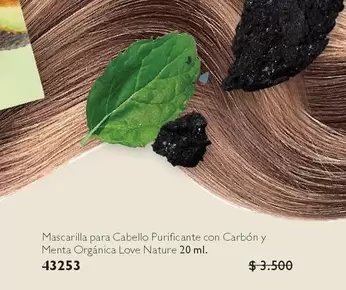 Mascarilla Para Cabello Purificante Con Carbón Y Menta Organica Love Nature