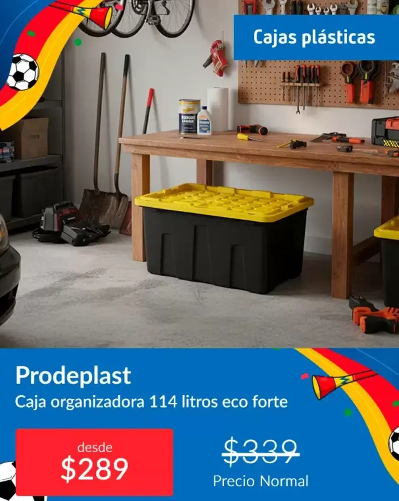 Caja Organizadora