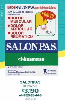Salonpas - 10 Parches