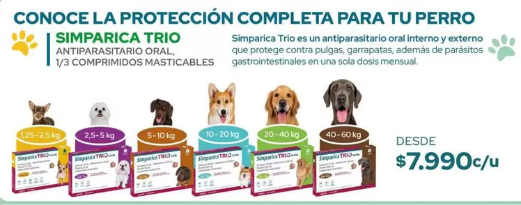 Trio - Conoce La Protección Completa Para Tu Perro